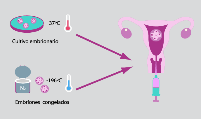 Cryo-Preservación gametos y embriones 1